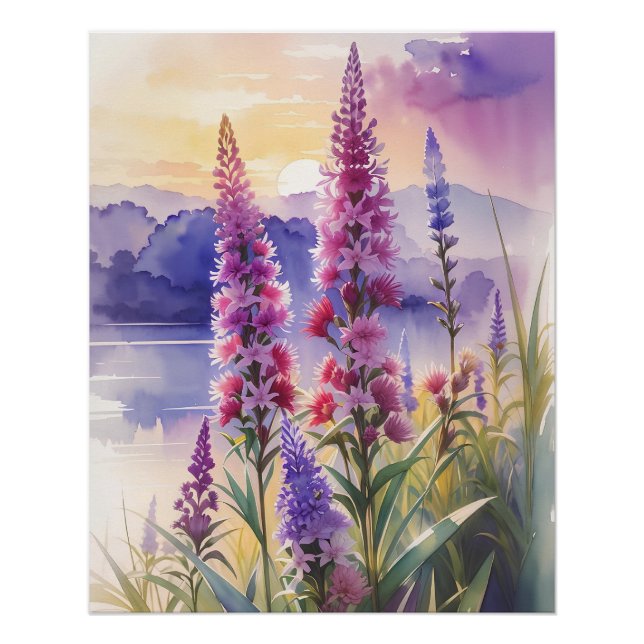 Poster Beauté des étoiles (Devant)