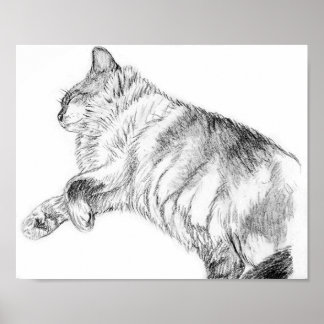 Poster Beauté du sommeil