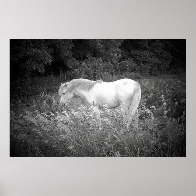 Poster Beauté en noir et blanc (Devant)