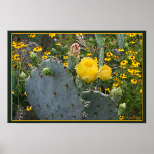 Poster Beauté et la bête