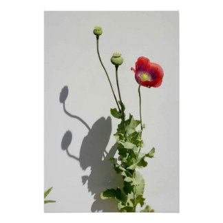 Poster Beauty is also the Beast.