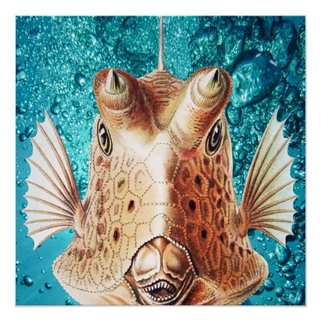 Poster Beaux poissons d'art par Earnst Haeckel (Devant)