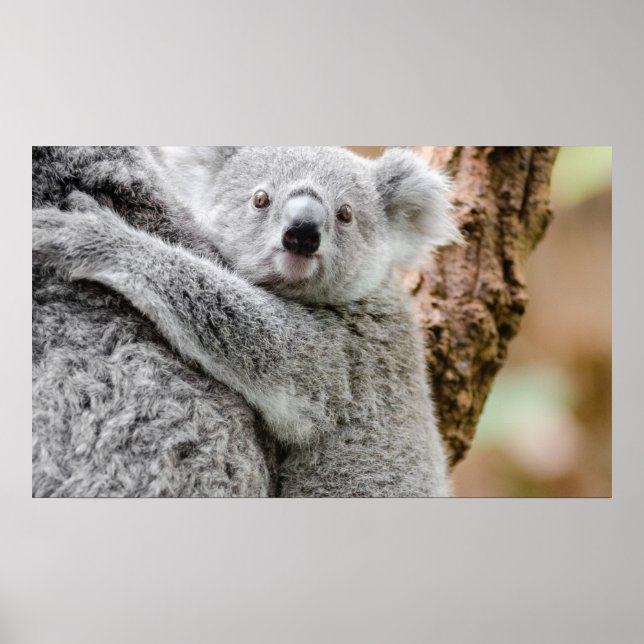 Poster bébé (Devant)