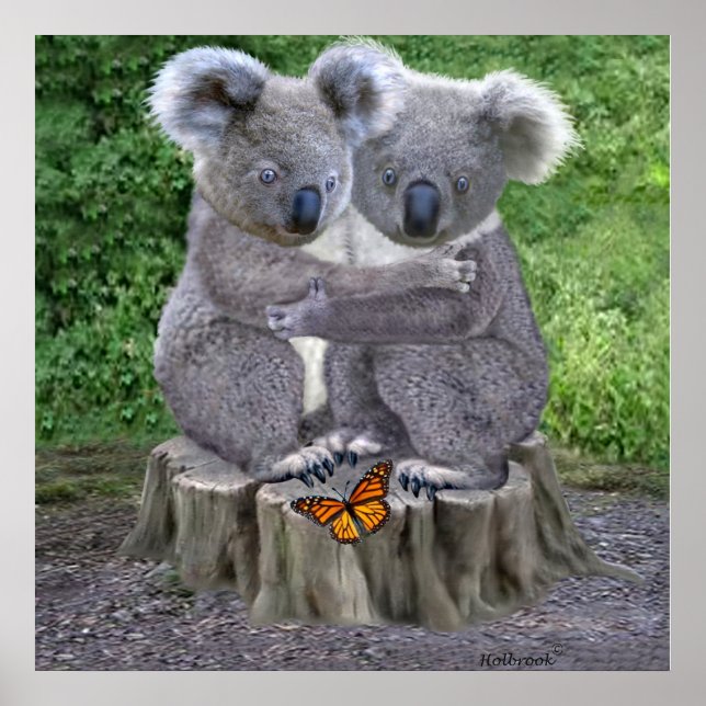 POSTER BÉBÉ KOALA HUGGIES (Devant)
