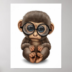Poster Bébé mignon singe portant des lunettes d'oeil blan