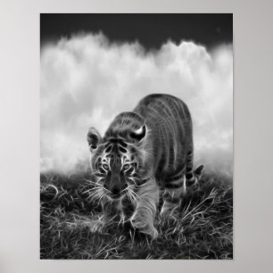 Poster Bébé Tigres en noir et blanc