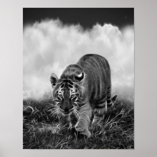 Poster Bébé Tigres en noir et blanc (Devant)