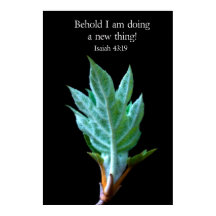 Behold I am doing a new thing