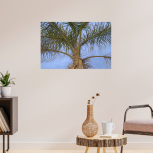 Poster Bel arbre palmier de près