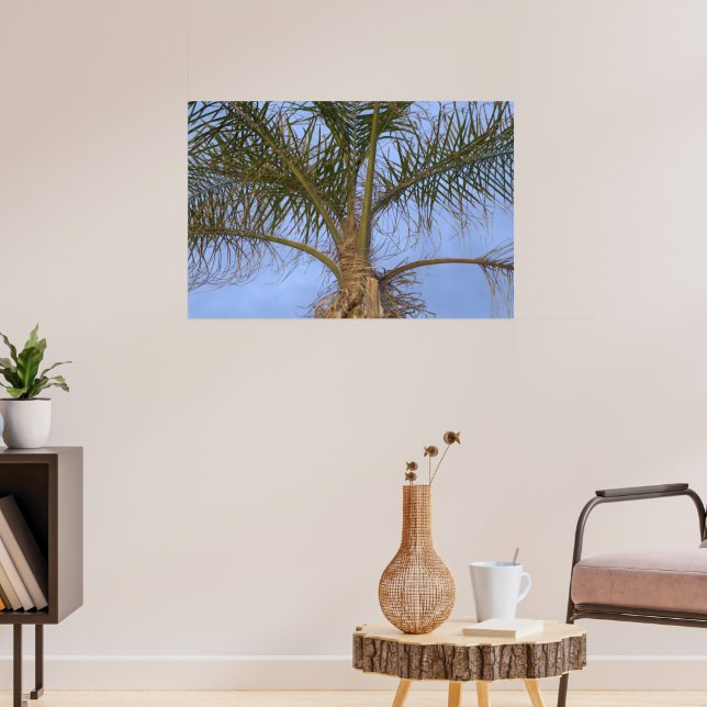 Poster Bel arbre palmier de près (Salon 3)