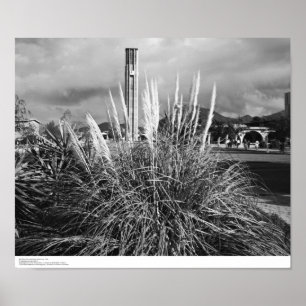 Poster Bell Tower, Pampas Grass, décembre 1966