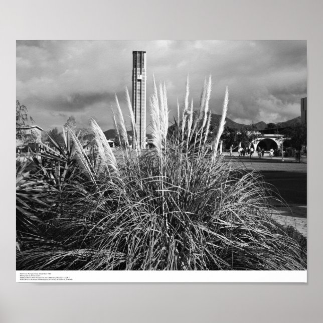 Poster Bell Tower, Pampas Grass, décembre 1966 (Devant)