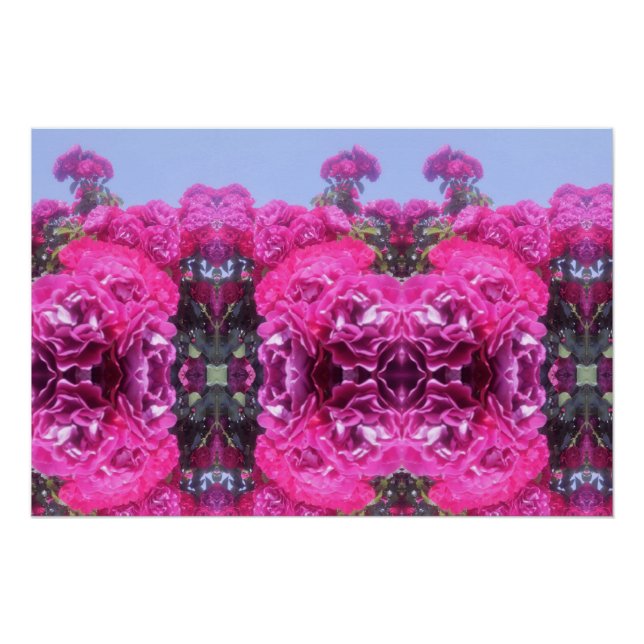 Poster Belle Fleur Rose (Devant)
