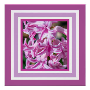 Poster Belle floraison printemps Hyacinth Fleur parfumée