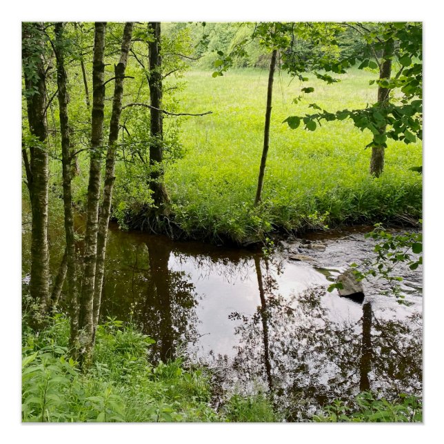 Poster Belle forêt et rivière belge, voyage (Devant)