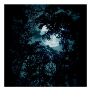 Poster Belle Lune qui coule avec les arbres