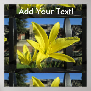 Poster Belle Lys Jaune