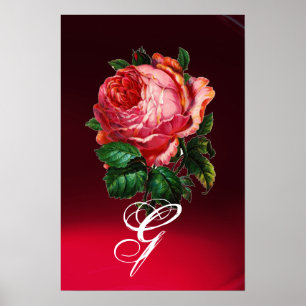 POSTER BELLE ROSE MONOGRAMME ROSE