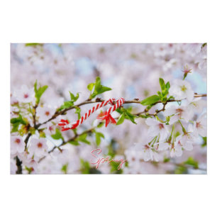 Poster Belle salutation de printemps