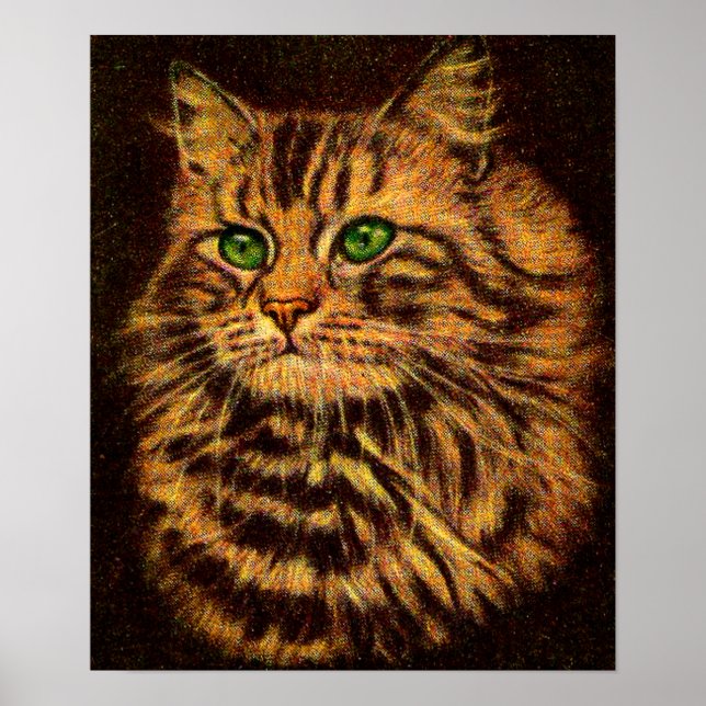 Poster belle tabby à cheveux longs (Devant)