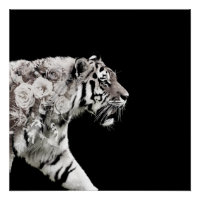 Belle Tigre Roses Double exposition photo