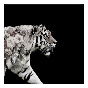 Poster Belle Tigre Roses Double exposition photo