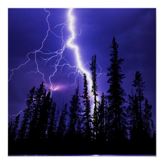 Poster belle tonnerre sur la forêt (Devant)