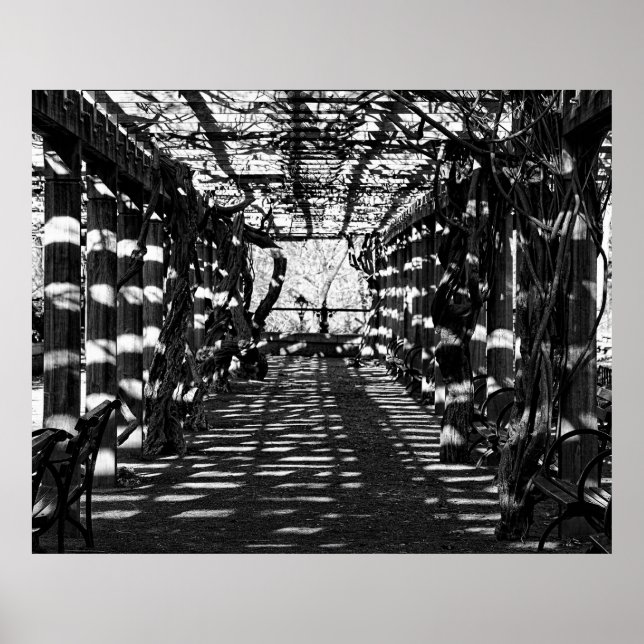 Poster Belle vue à Central Park, NYC (Devant)