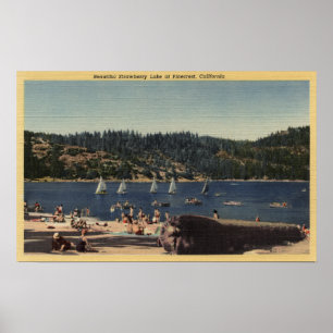 Poster Belle vue sur le lac des fraises