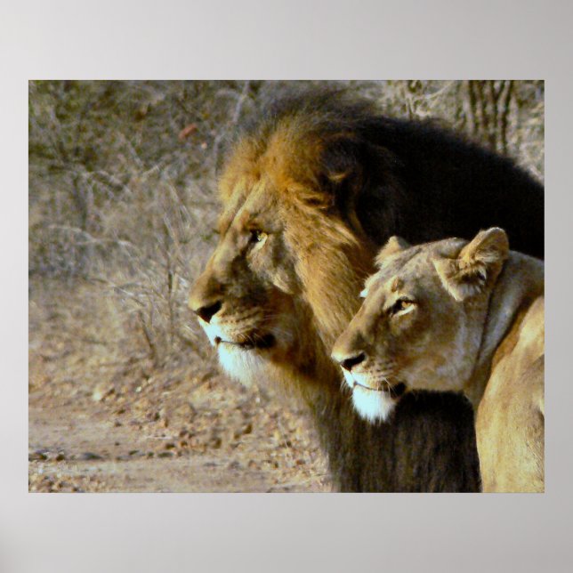 Poster Belles personnes (Devant)