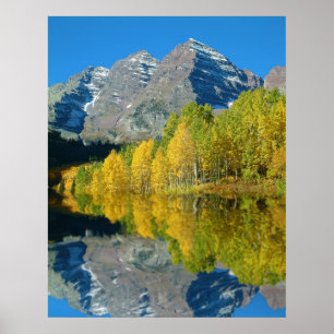 Poster Bells marron avec des trembles