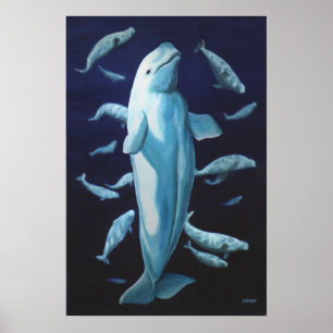 Poster Beluga Whale Art Print Marinelife Whale Painting