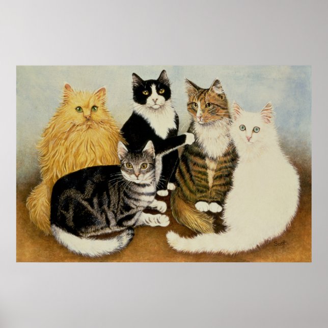 Poster Berceau de chat (Devant)