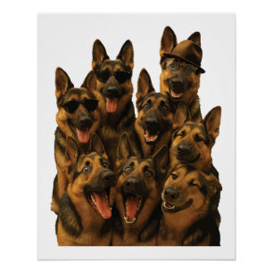 Poster Berger allemand