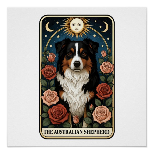 Poster berger australien (Devant)