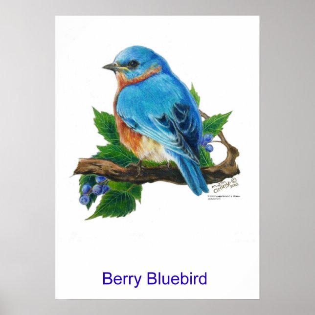 Poster Berry Bluebird (Devant)