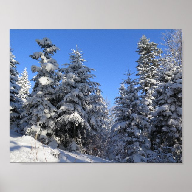 Poster Beskids hiver (Devant)