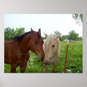 Poster BFF Meilleurs amis pour toujours