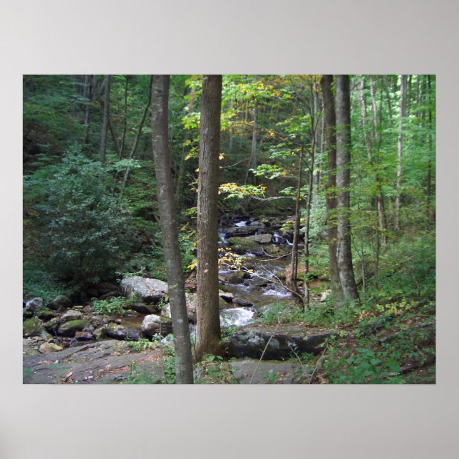 Poster BG- Back to Nature Stream Print (Devant)
