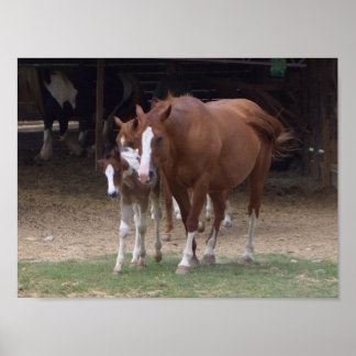 Poster BH- Design Cheval Imprimer
