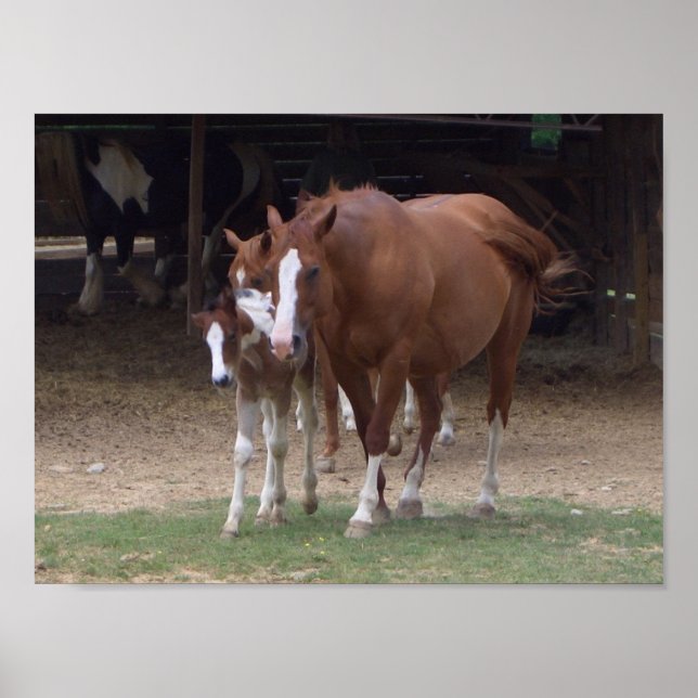 Poster BH- Design Cheval Imprimer (Devant)