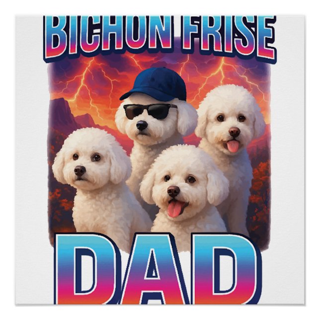 Poster Bichon frisé (Devant)