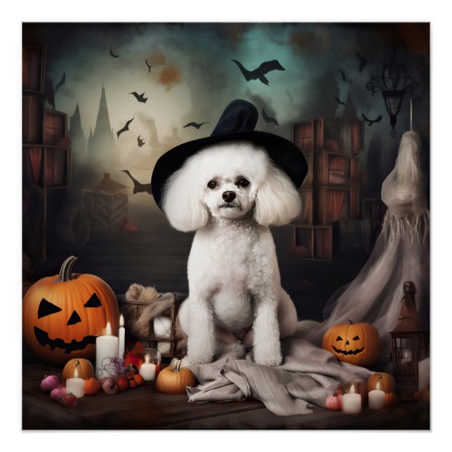 Poster Bichon Frise Citrouilles Halloween effrayant (Devant)
