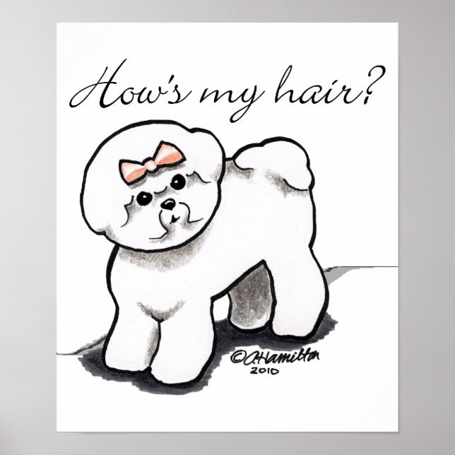 Poster Bichon Frise Habille Mes Cheveux (Devant)