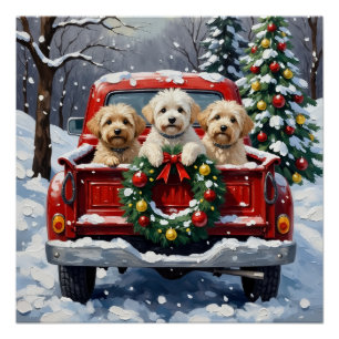 Poster Bichon Frise Noël Camion Rouge Fêtes
