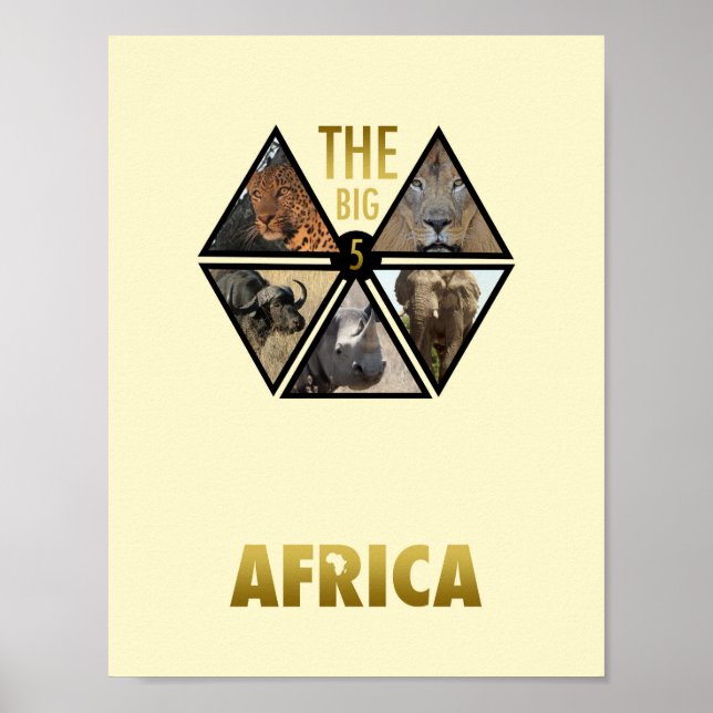 Poster Big 5 Africa 11" x 8,5" (Devant)
