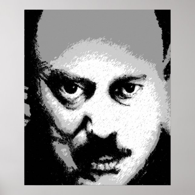 Poster Big Brother (Devant)