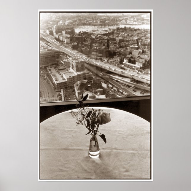 Poster Big Dig Rose (Devant)
