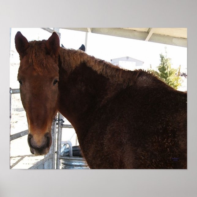Poster Big Eyes Red Tennessee Walking Horse - TWH (Devant)
