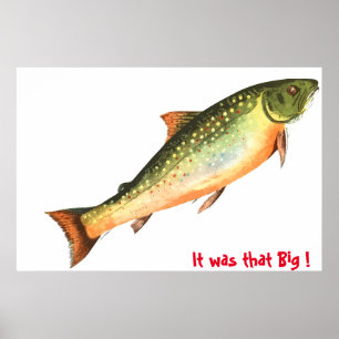 Poster Big Fish